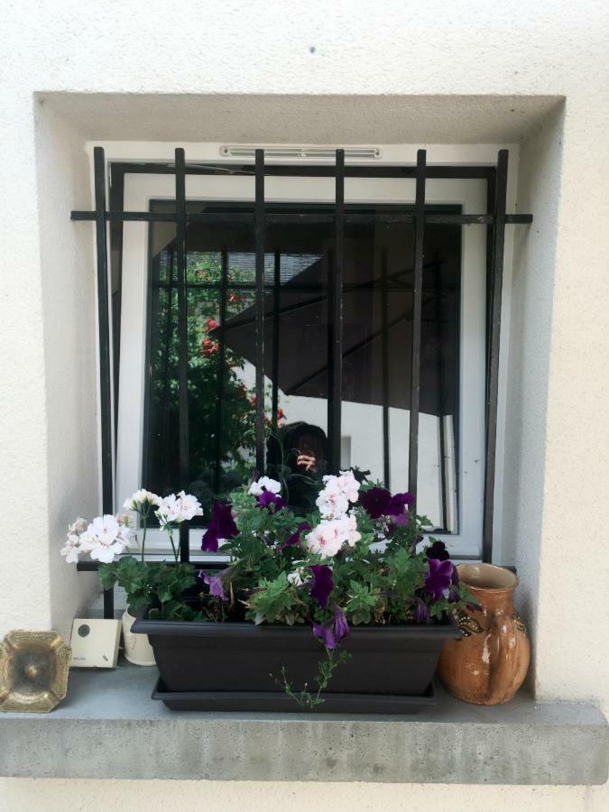Bed and Breakfast Le Muguet Сен-Жорж-сюр-Шер Экстерьер фото
