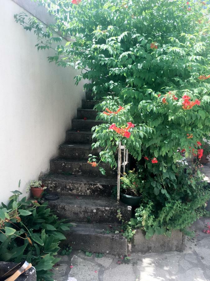 Bed and Breakfast Le Muguet Сен-Жорж-сюр-Шер Экстерьер фото